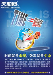 上海睿達網絡 網頁制作與賽事策劃的專業服務商