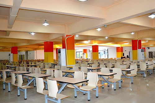 甘肅多場考試延期、多所學校停課，不合格口罩害人害己——咨詢策劃服務建議